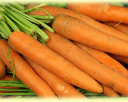 Морков – най-ценният дар на природата