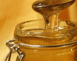 Пчелен мед – лекарство от древността
