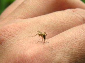 Този биорепелент против комари може да се прилага и при малки деца