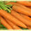 Морков – най-ценният дар на природата